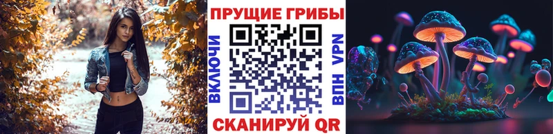 Купить  Кузнецк  Псилоцибиновые грибы ЛСД 